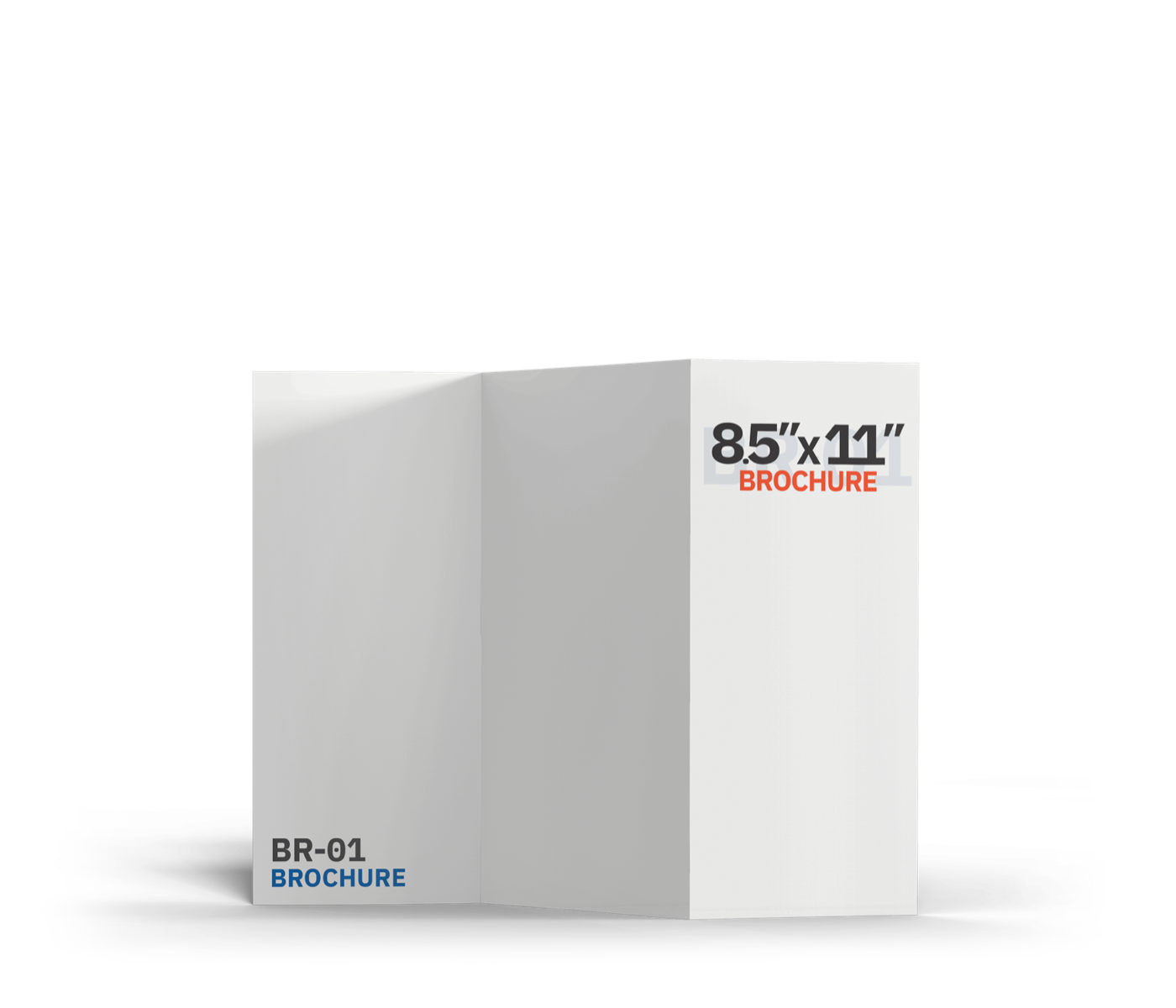 8 1/2 x 11 White Cardboard Displays With Brochure Pocket